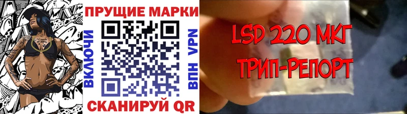 Наркотические марки 1500мкг  что такое наркотик  omg как войти  Медвежьегорск 