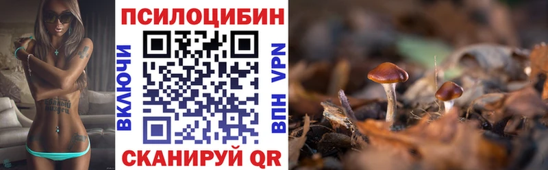 Галлюциногенные грибы Cubensis Медвежьегорск